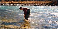 Die Biologische Wassergüte