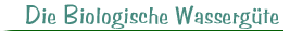 Die Biologische Wassergüte