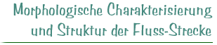 Morphologische Charakterisierung und Struktur der Fluss-Strecke